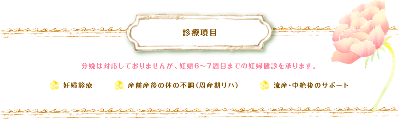 診療項目 分娩は対応しておりませんが、妊娠６～７週目までの妊婦健診を承ります。妊婦診療、産前産後の体の不調（周産期リハ）、流産・中絶後のサポート