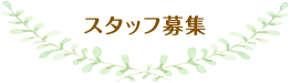 スタッフ募集