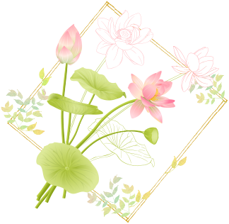 リプロダクティブ・ヘルス・アンド・ライツ（RH）